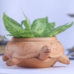 Beautiful Turtle Designed Pot